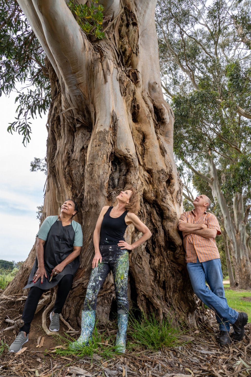 ‘Stop and behold’ the wonder of nature Beneath the Canopies