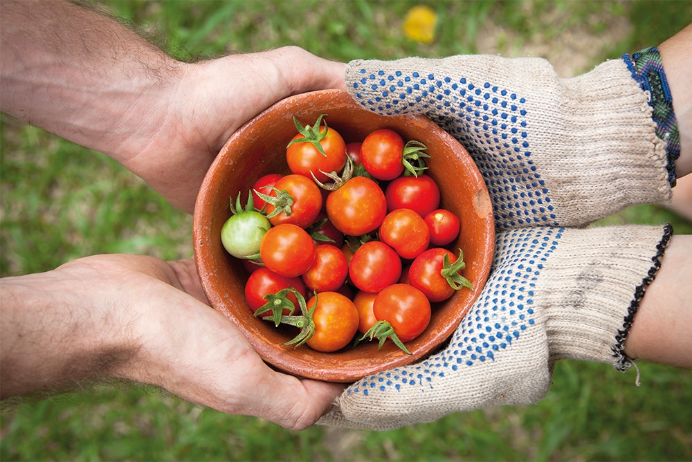 The Edible Gardener