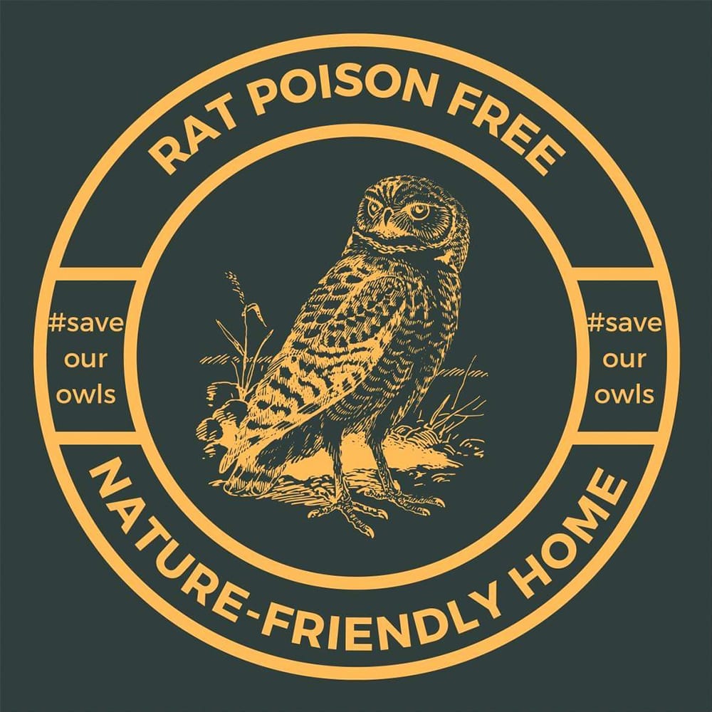 Rat Poison Killing Birds Of Prey - Mornington Peninsula Magazine