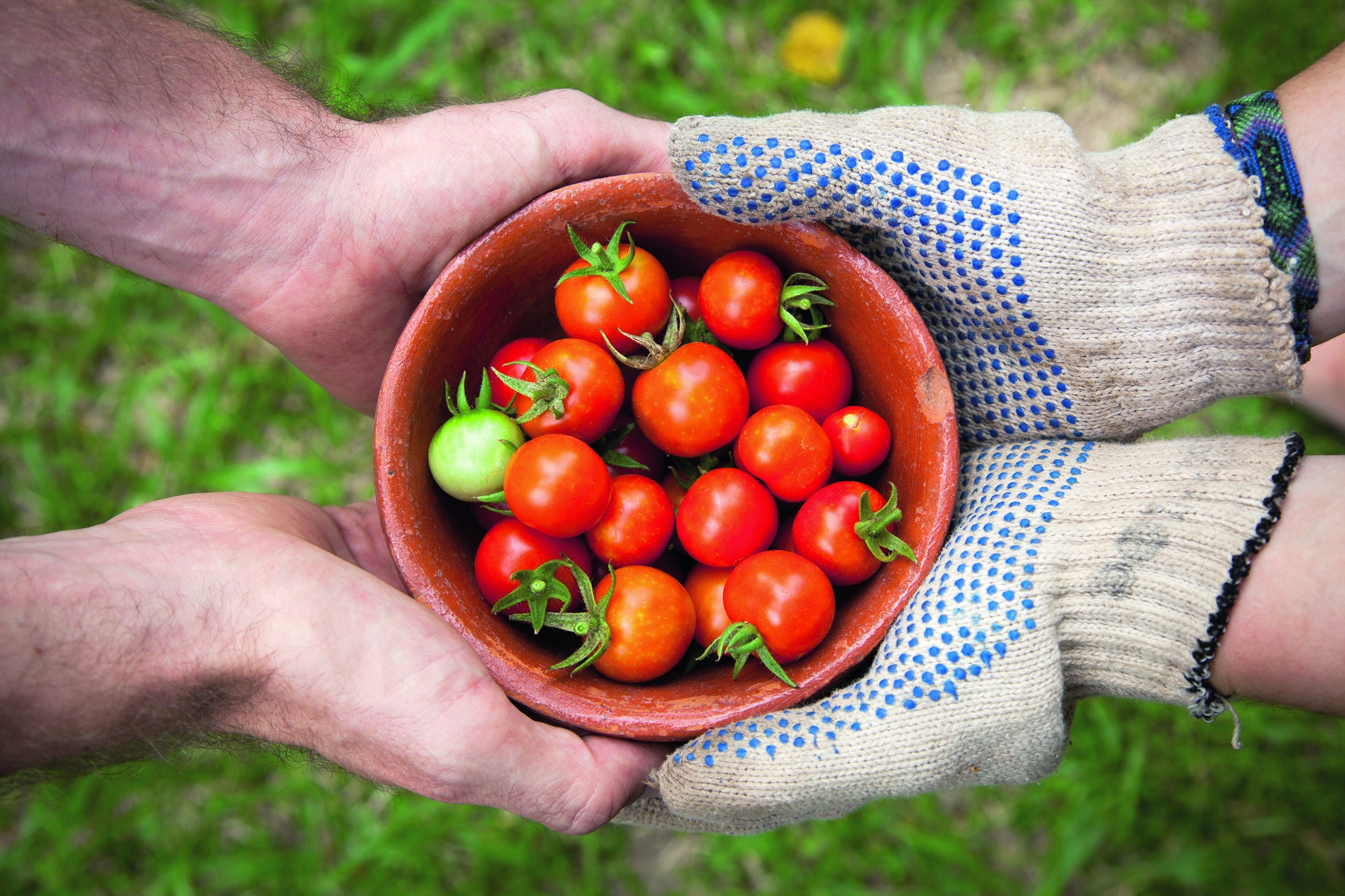 Sustainable living workshops at The Briars