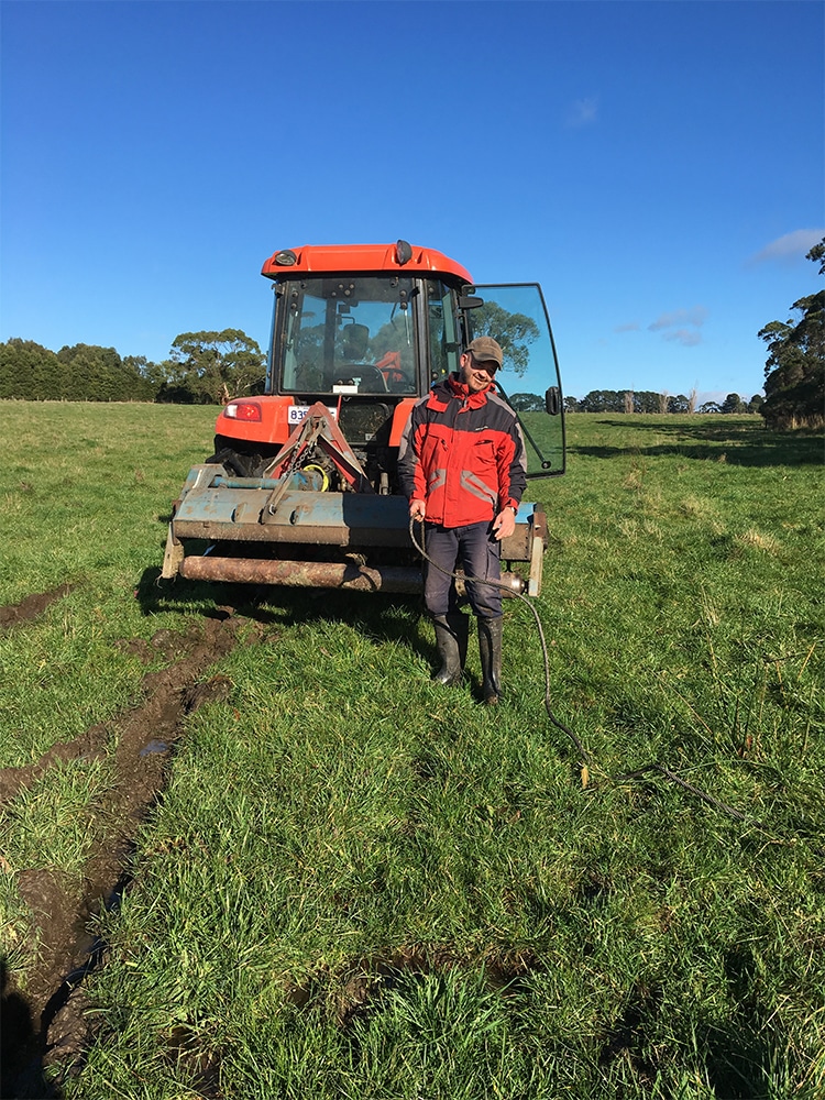 Koalas and echidnas join the avos and cattle