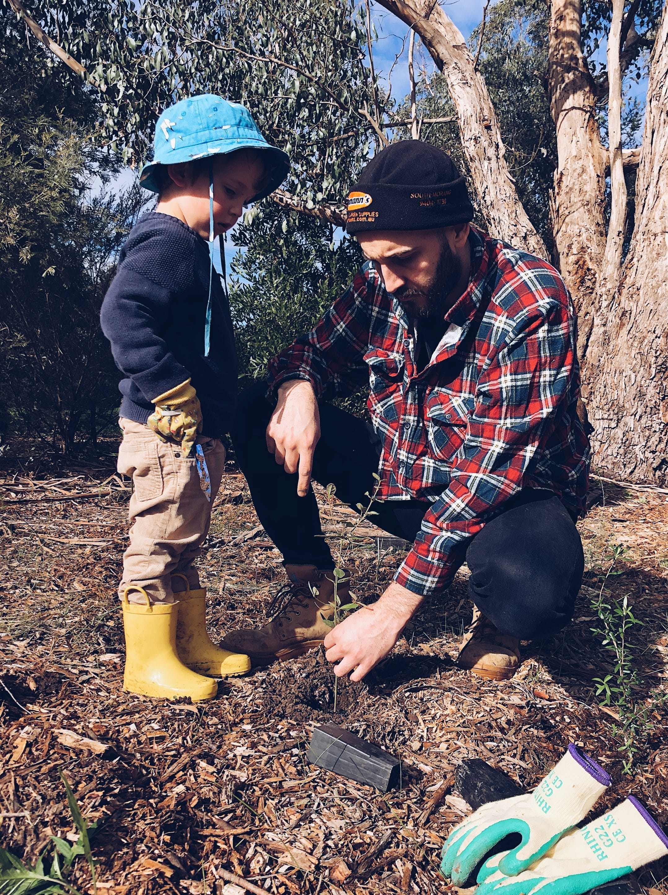 Plant a tree and bring our endangered species home