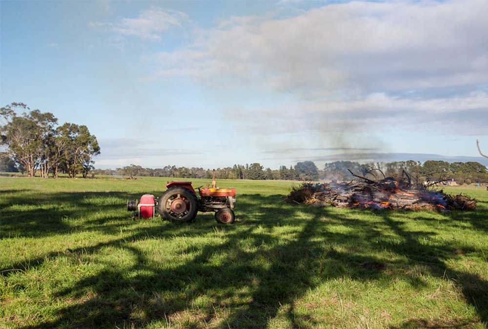 Property owners told to remove bushfire hazards