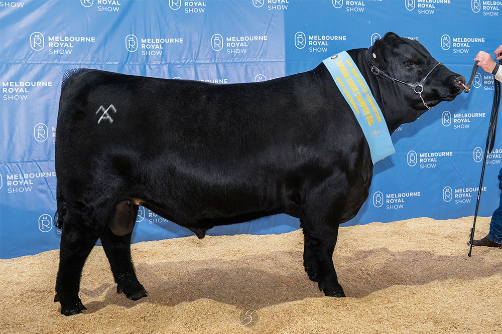 Raindance shines at Melbourne Royal Show