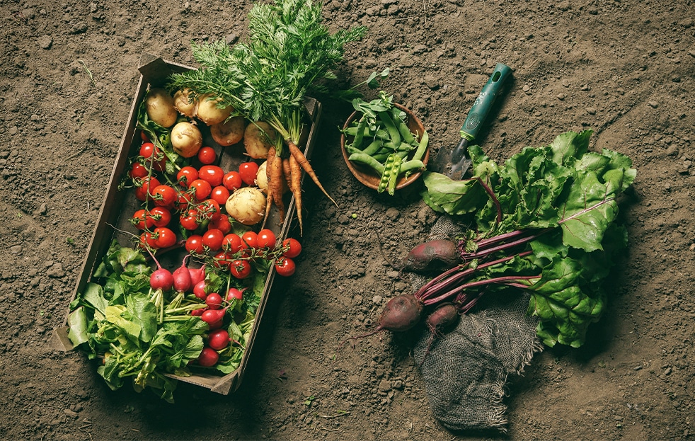 The Edible Gardener