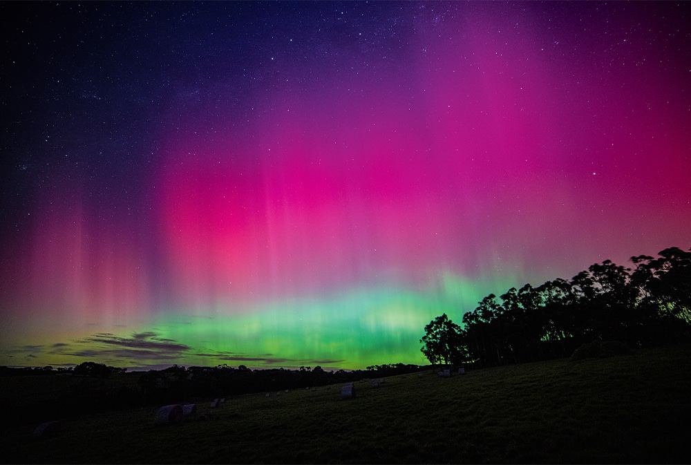 Rich pickings in June for night-sky observers